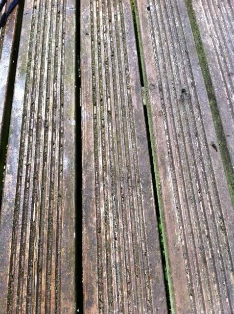 Decking Cleaning Cemaes Bay